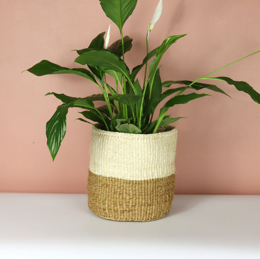 Cream and Natural Brown Handwoven Sisal Basket