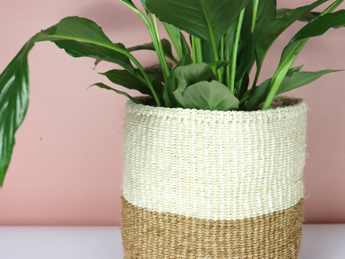 Cream and Natural Brown Handwoven Sisal Basket