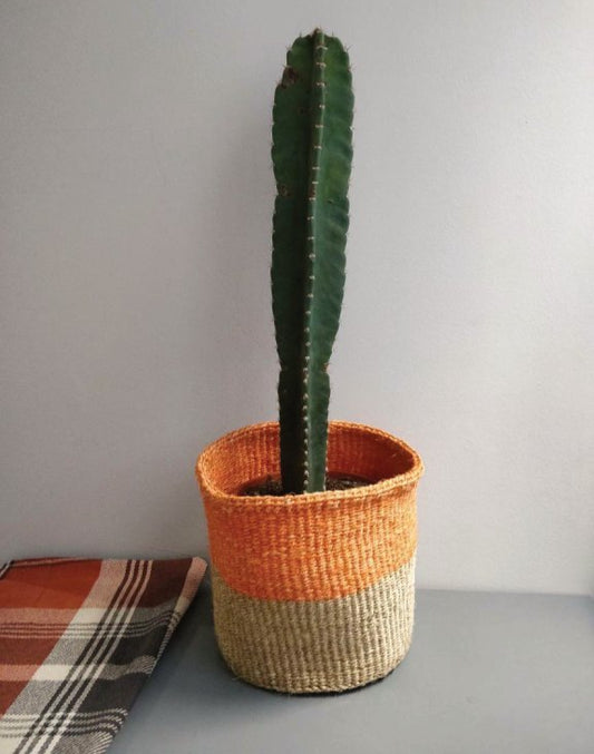 Orange and Natural Brown Handwoven Sisal Basket